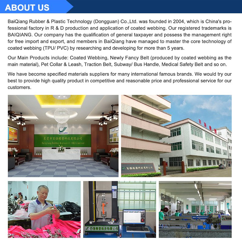 Company Information