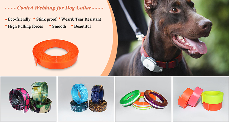 TPU coated webbing