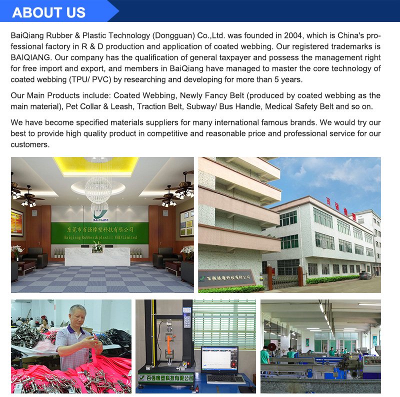 Company Information
