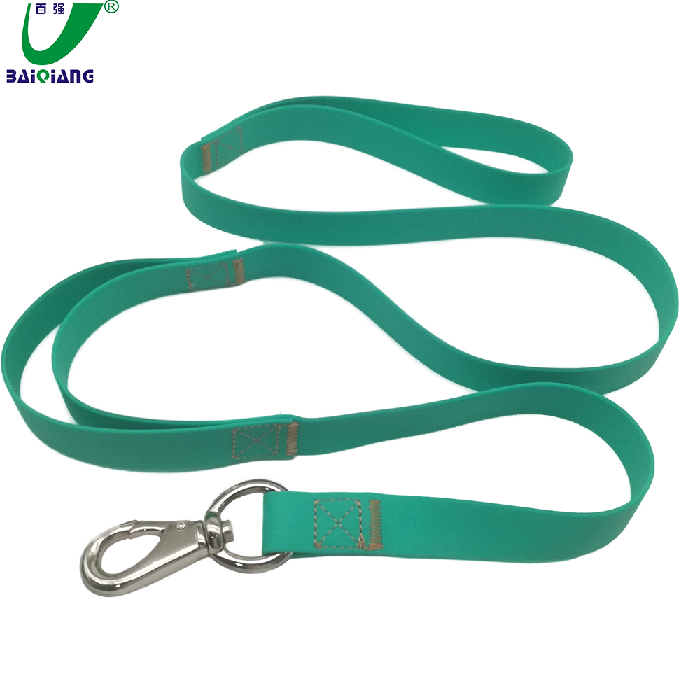 Humanity Designed Dog Collar Two Handles Dog Leash Carabiner