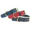 Waterproof TPU Coated Nylon Printing Leather Dog Collar with Logo