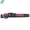 Polyurethane Disguised Adjustable Buckle Colorful Shiny Sport Dog Martingale Collar