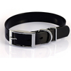 Wholesale TPU Reflective Sunglo Dayglo Day Glo Neon Orange Blue Yellow Pink Green Pet Dog Collar
