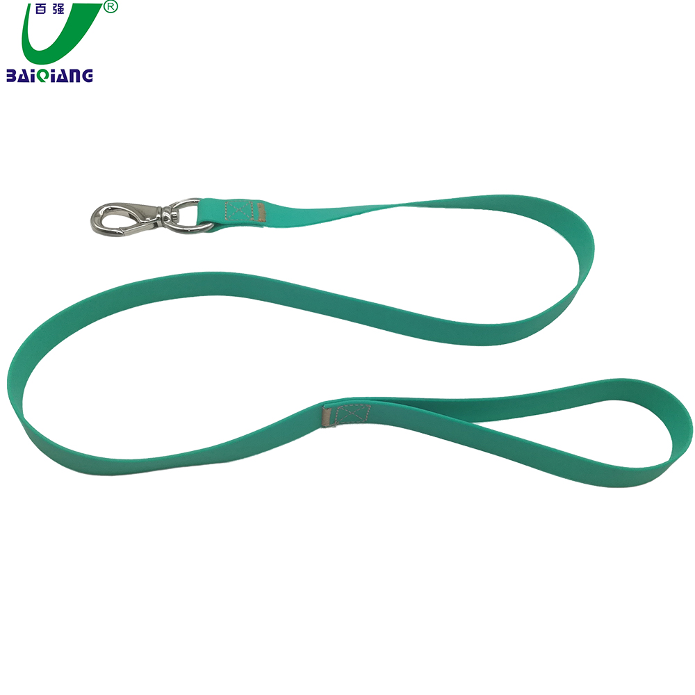 Humanity Designed Dog Collar Two Handles Dog Leash Carabiner