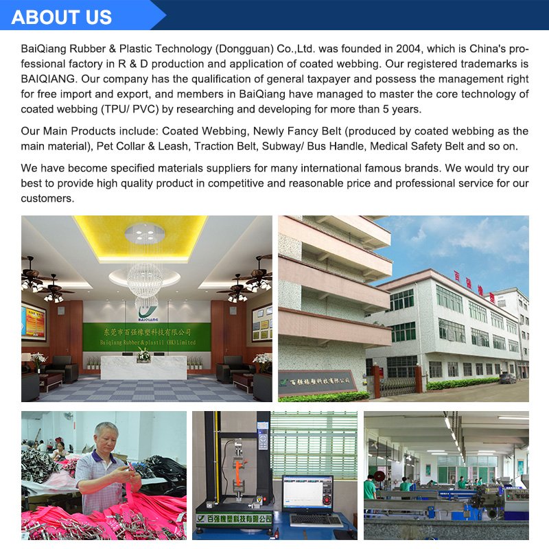 Company Information