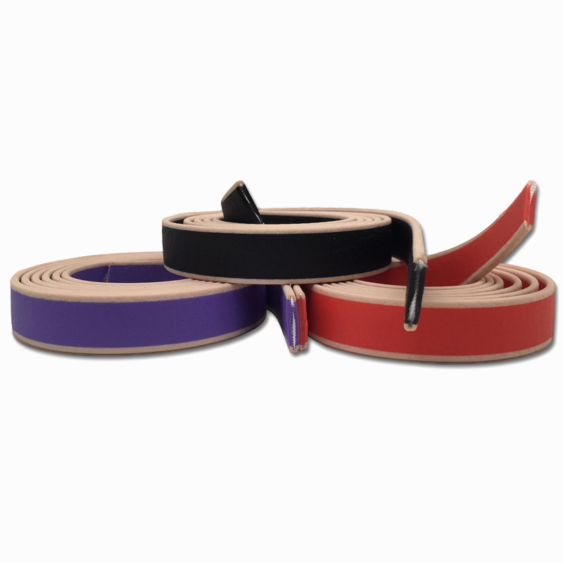 Custom Printing Pattern PVC Flexi Poly Coated Nylon Webbing for Collar Leash and Harness